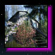 rfl031020.jpg